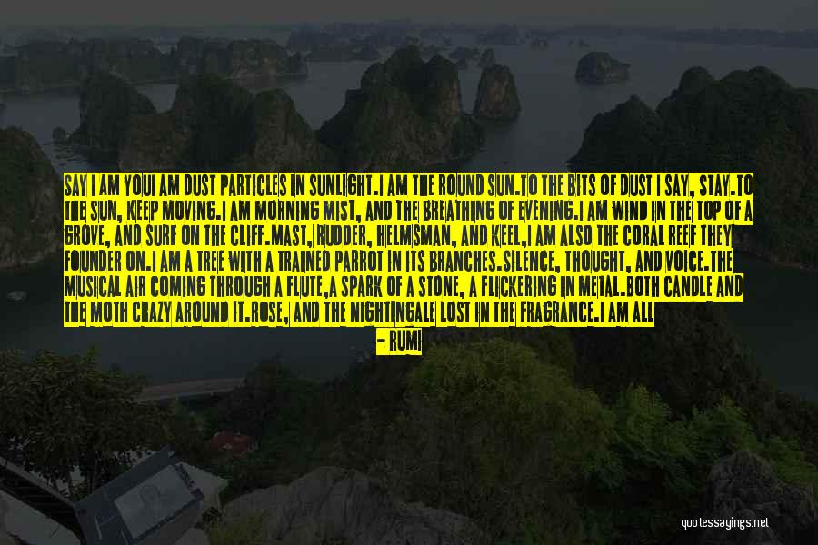 Hobbins Propiedades Quotes By Rumi Hobbins Propiedades Quotes By Rumi