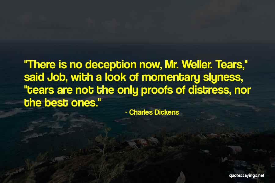 Hobbledehoy Montessori Quotes By Charles Dickens Hobbledehoy Montessori Quotes By Charles Dickens