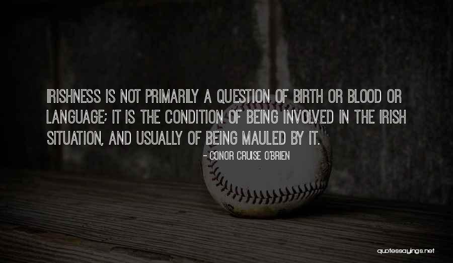 Hobbledehoy Montessori Quotes By Conor Cruise O'Brien Hobbledehoy Montessori Quotes By Conor Cruise O'Brien