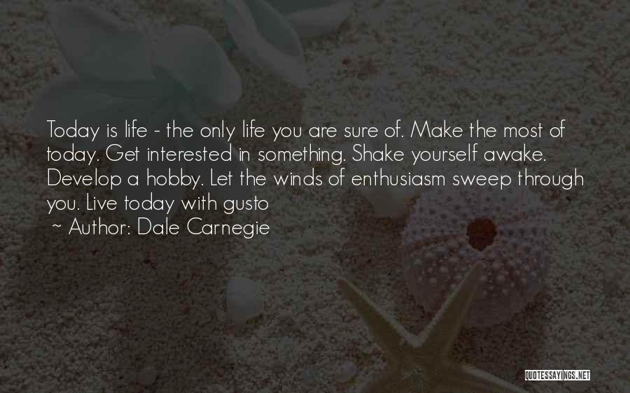 Hobby Quotes By Dale Carnegie