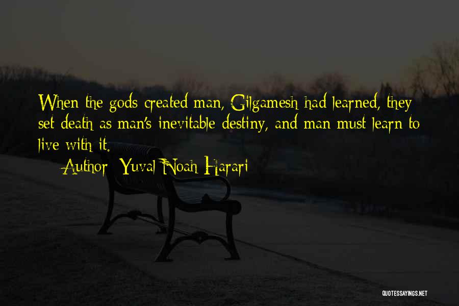 Hobie Surf Quotes By Yuval Noah Harari