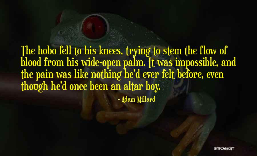Hobo Quotes By Adam Millard Hobo Quotes By Adam Millard