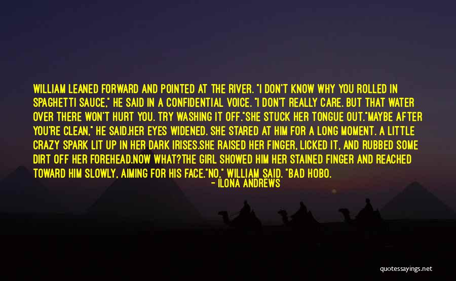 Hobo Quotes By Ilona Andrews Hobo Quotes By Ilona Andrews