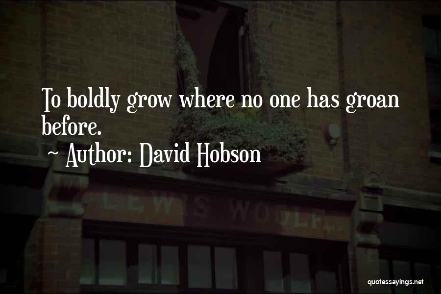Hobson Quotes By David Hobson