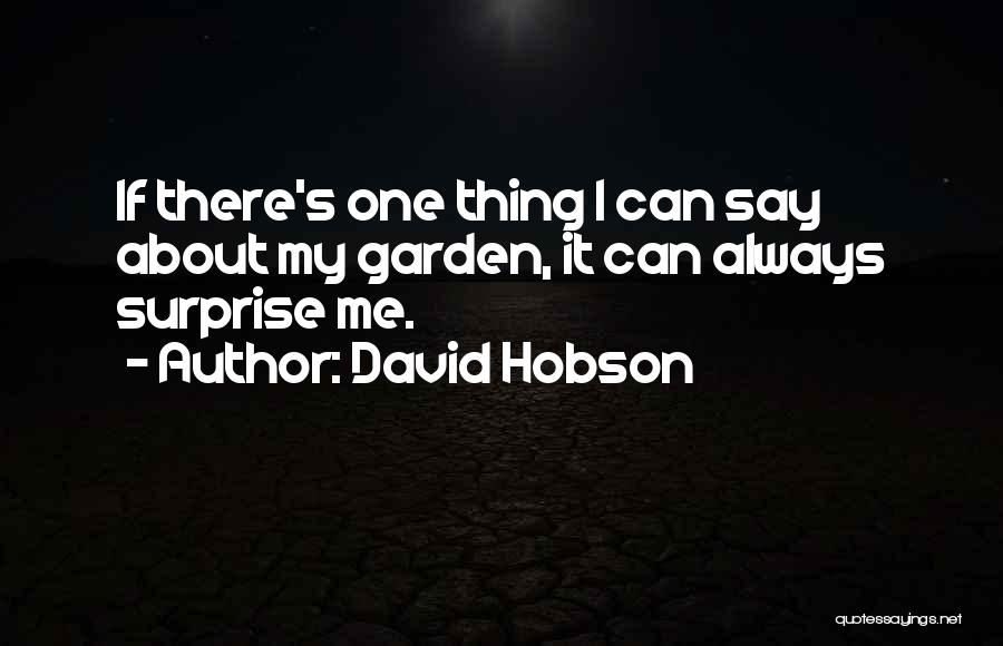 Hobson Quotes By David Hobson