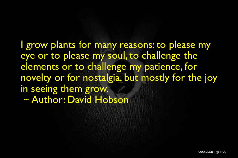 Hobson Quotes By David Hobson