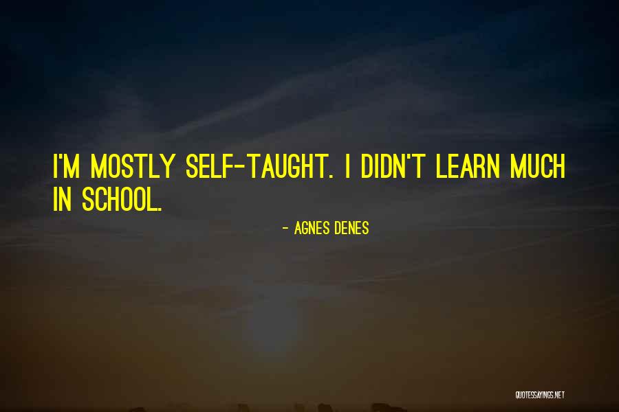 Hochleitner Quotes By Agnes Denes Hochleitner Quotes By Agnes Denes