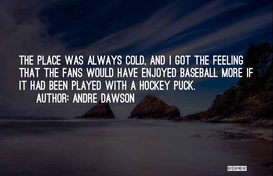 Hockey Fans Quotes By Andre Dawson