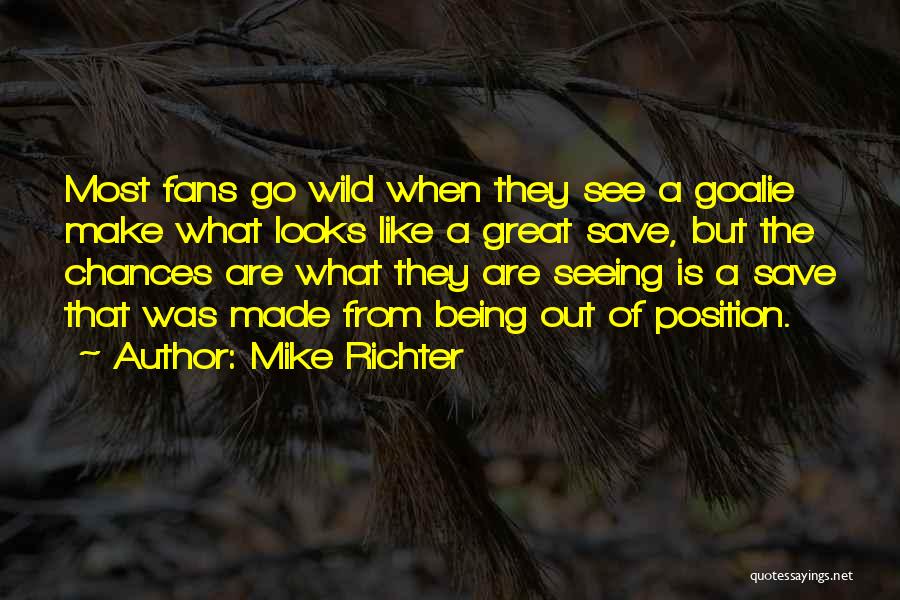 Hockey Fans Quotes By Mike Richter