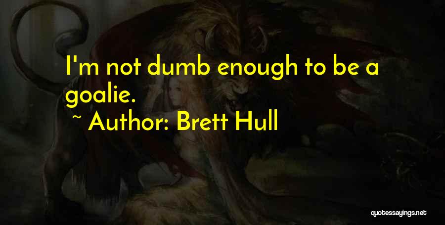 Hockey Goalies Quotes By Brett Hull