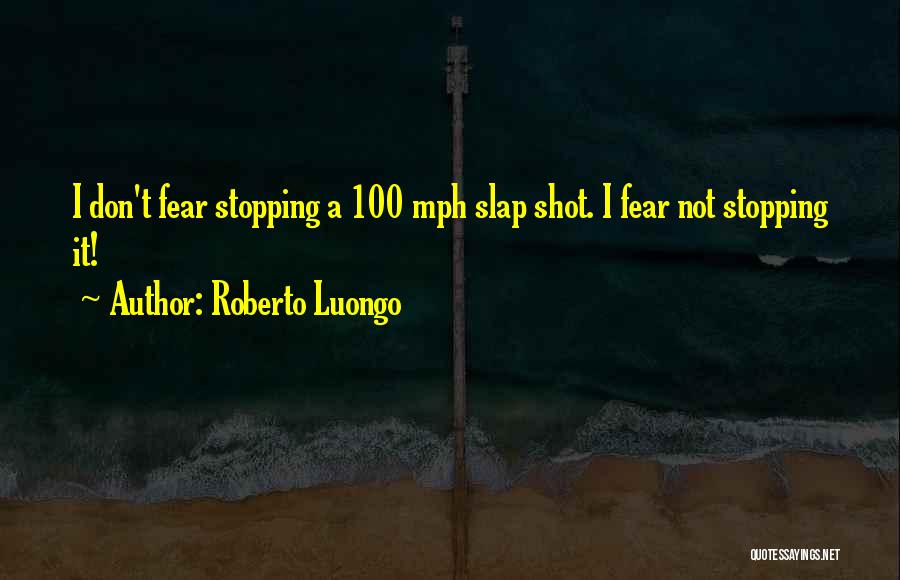 Hockey Goalies Quotes By Roberto Luongo