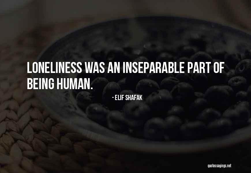 Hockman Cemetery Quotes By Elif Shafak Hockman Cemetery Quotes By Elif Shafak