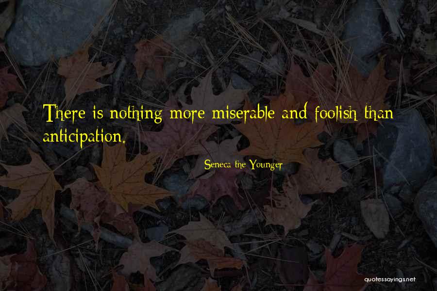 Hocktoberfest Quotes By Seneca The Younger