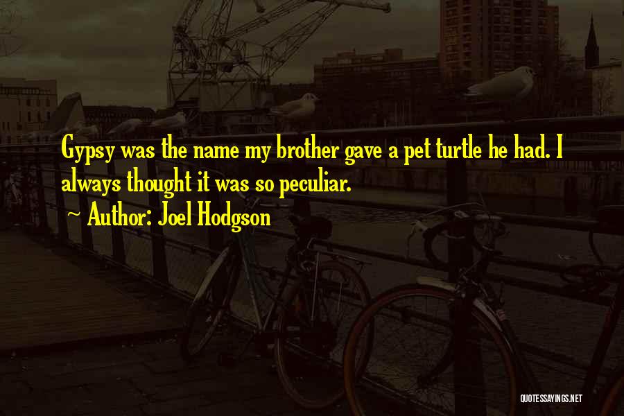 Hodgson Quotes By Joel Hodgson
