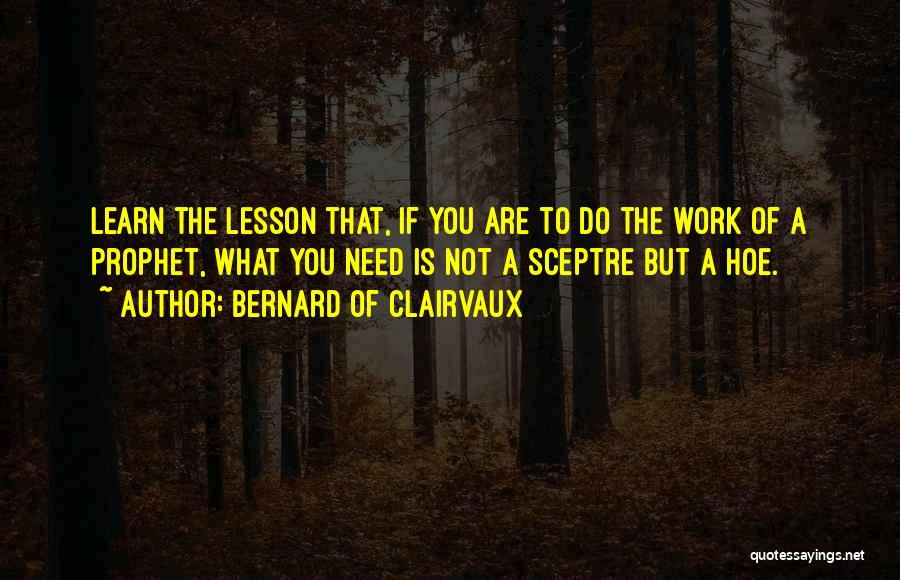 Hoe Quotes By Bernard Of Clairvaux