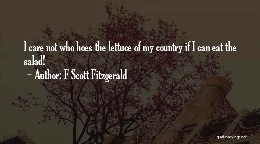 Hoe Quotes By F Scott Fitzgerald