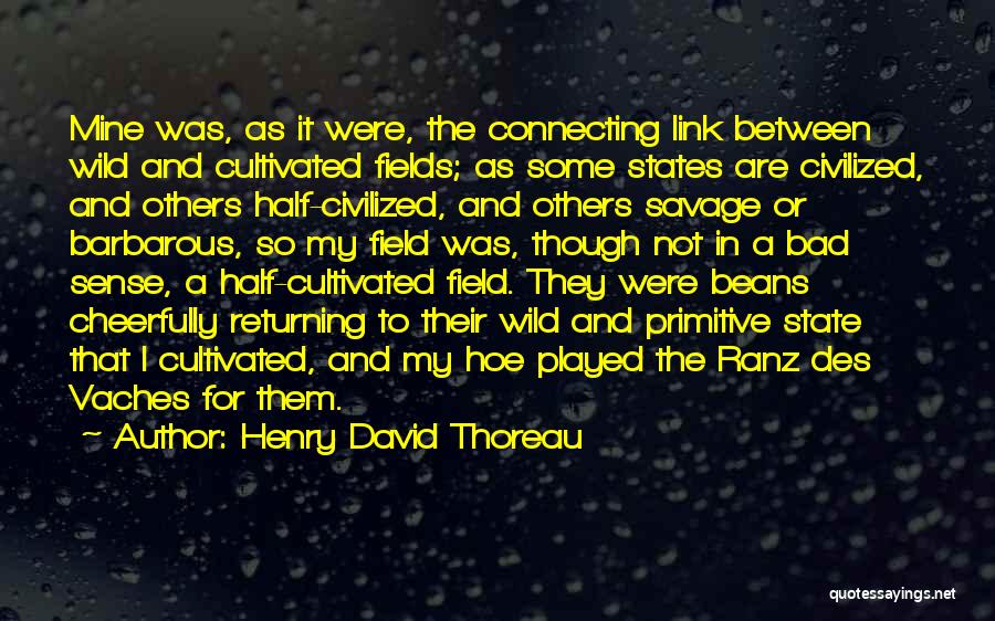 Hoe Quotes By Henry David Thoreau