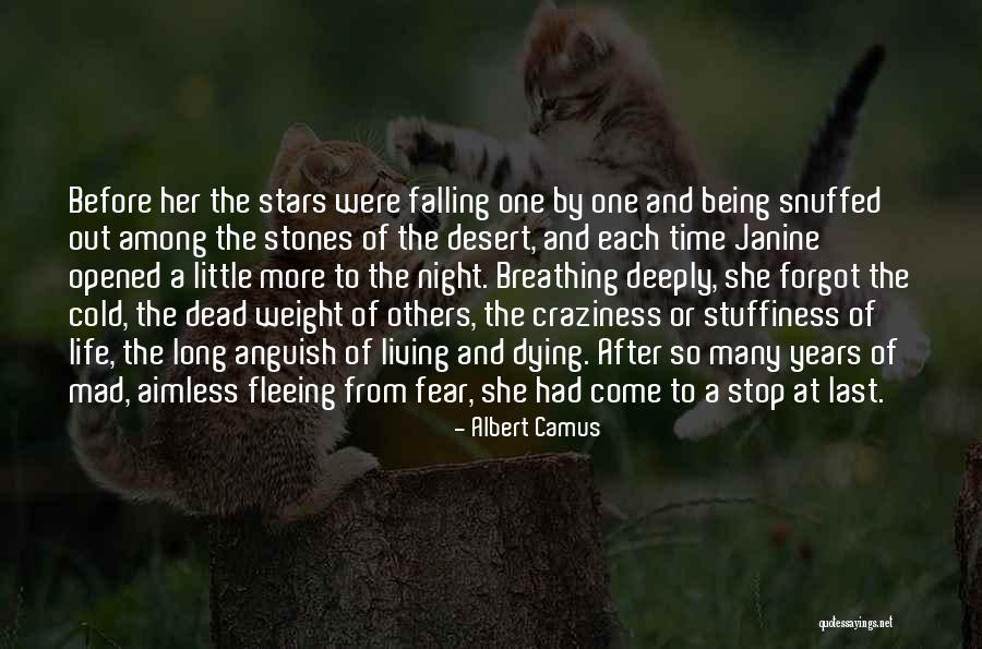 Hoeffner Moebel Quotes By Albert Camus Hoeffner Moebel Quotes By Albert Camus