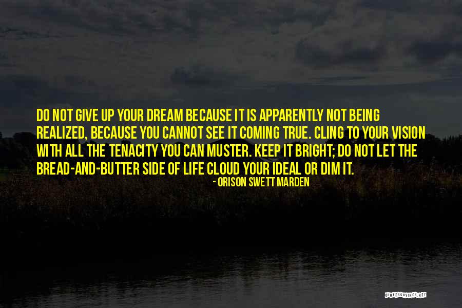 Hoeft Campground Quotes By Orison Swett Marden