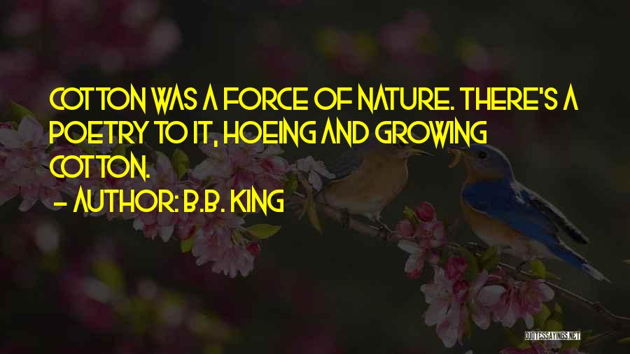 Hoeing Quotes By B.B. King