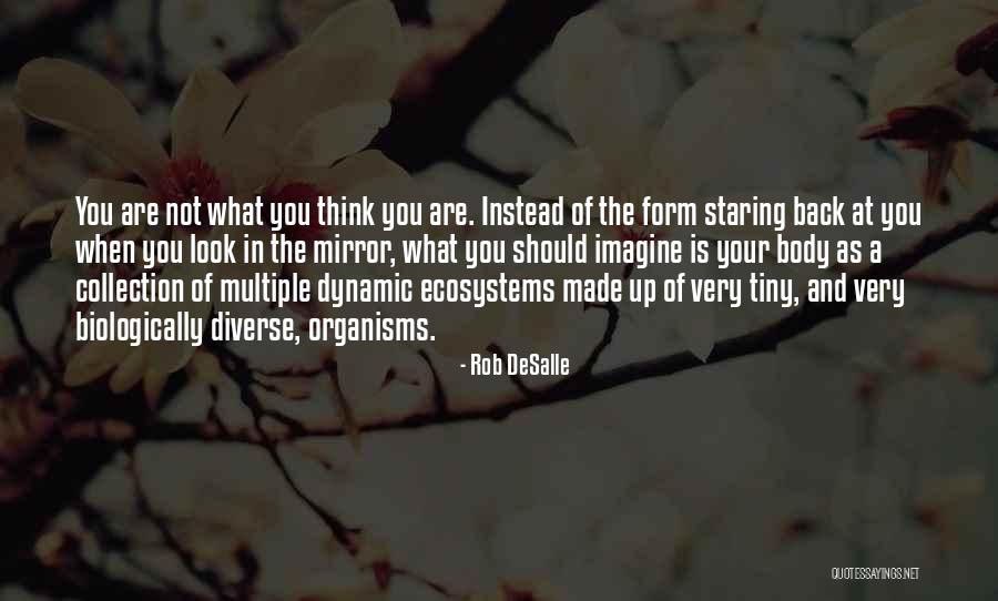 Hoellein Kenneth Quotes By Rob DeSalle Hoellein Kenneth Quotes By Rob DeSalle