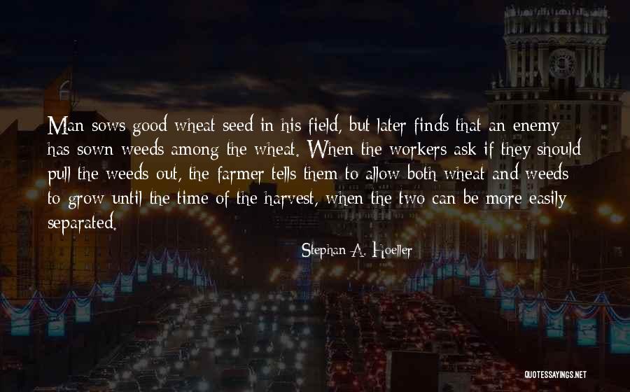 Hoeller Quotes By Stephan A. Hoeller Hoeller Quotes By Stephan A. Hoeller