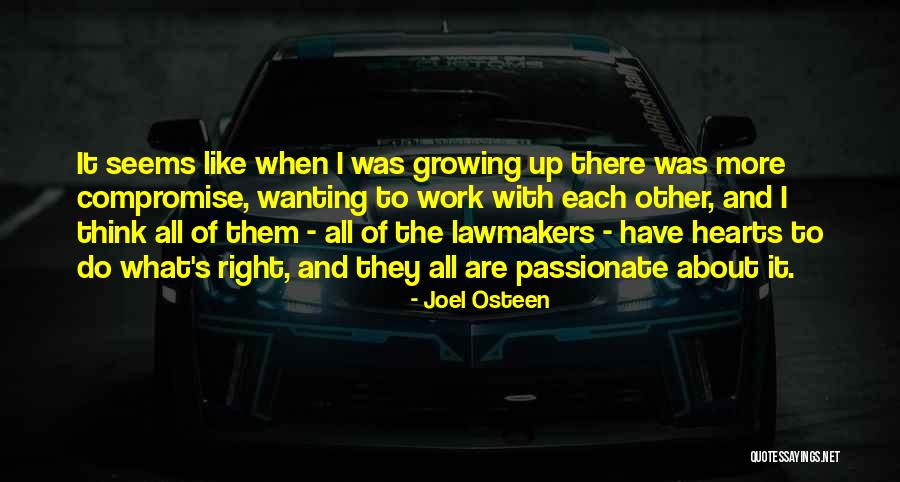 Hoermann Supramatic P2 Quotes By Joel Osteen Hoermann Supramatic P2 Quotes By Joel Osteen