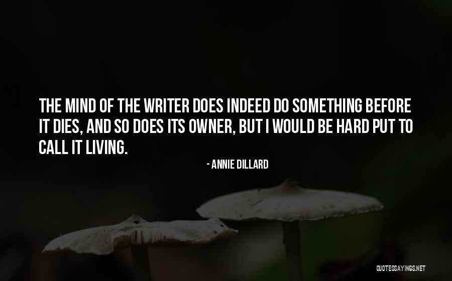 Hoerner And Associates Quotes By Annie Dillard Hoerner And Associates Quotes By Annie Dillard