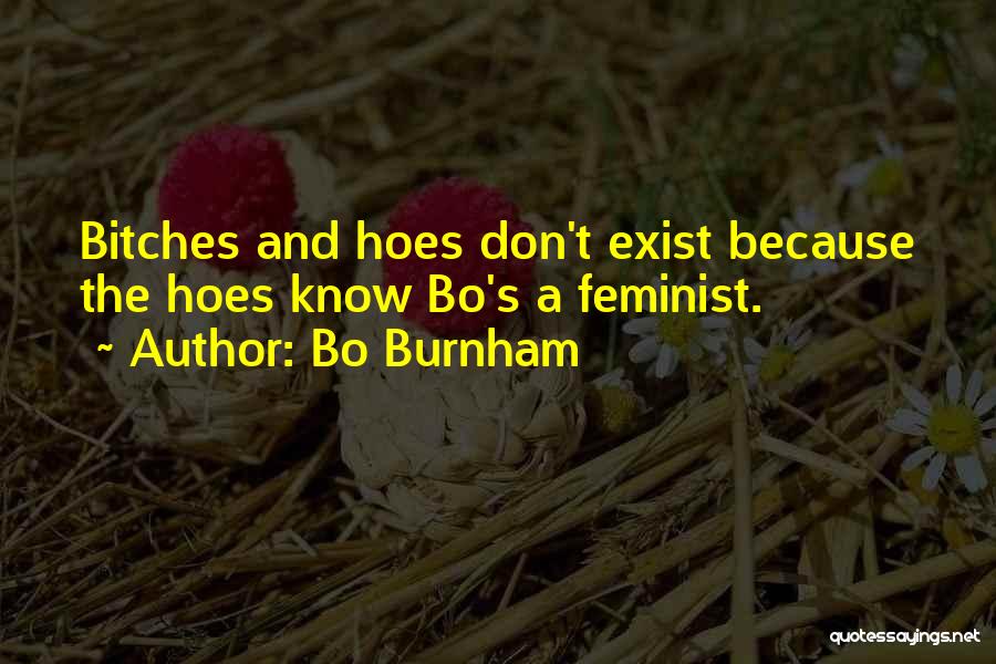 Hoes Quotes By Bo Burnham