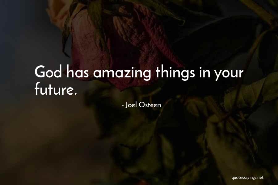Hoeveelheid Rijst Quotes By Joel Osteen