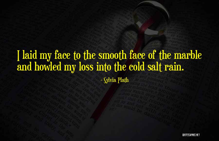 Hofesh Clowns Quotes By Sylvia Plath Hofesh Clowns Quotes By Sylvia Plath