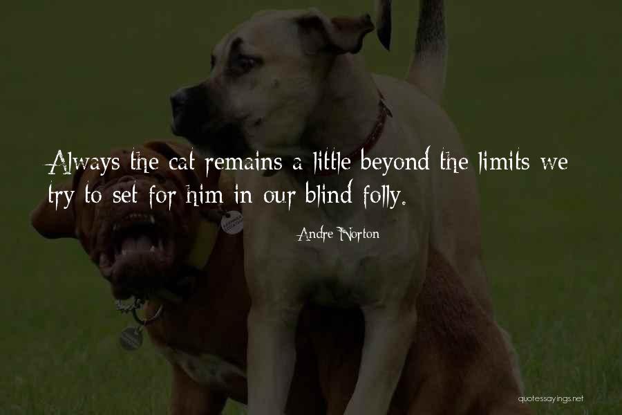 Hoffas Knee Syndrome Quotes By Andre Norton Hoffas Knee Syndrome Quotes By Andre Norton