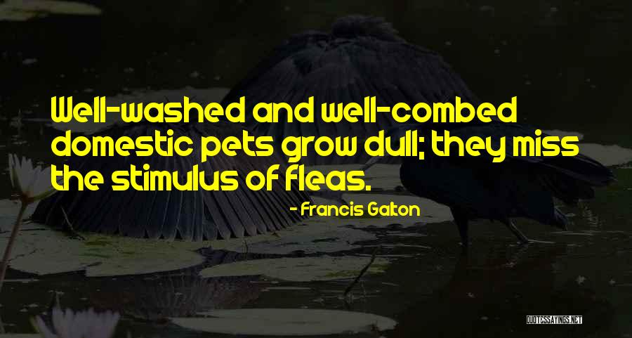 Hoffberger Oil Quotes By Francis Galton Hoffberger Oil Quotes By Francis Galton