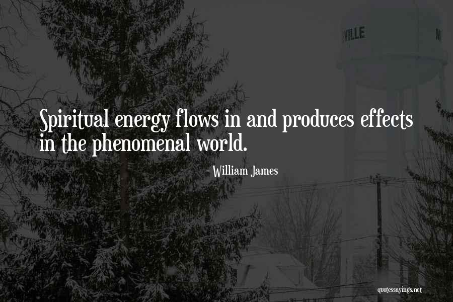 Hoffeld Statues Quotes By William James Hoffeld Statues Quotes By William James