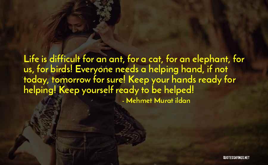 Hoffenberg And Epstein Quotes By Mehmet Murat Ildan Hoffenberg And Epstein Quotes By Mehmet Murat Ildan
