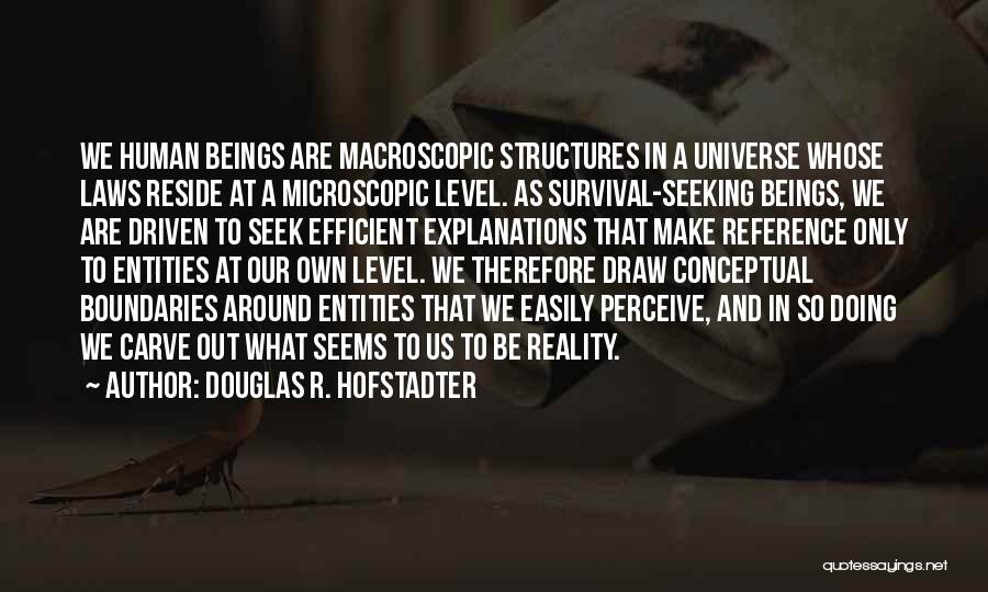 Hofstadter Douglas Quotes By Douglas R. Hofstadter