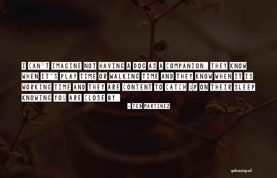 Hofstetter Formula Quotes By Ted Martinez Hofstetter Formula Quotes By Ted Martinez