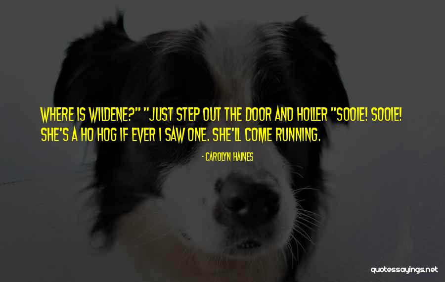 Hog Quotes By Carolyn Haines Hog Quotes By Carolyn Haines