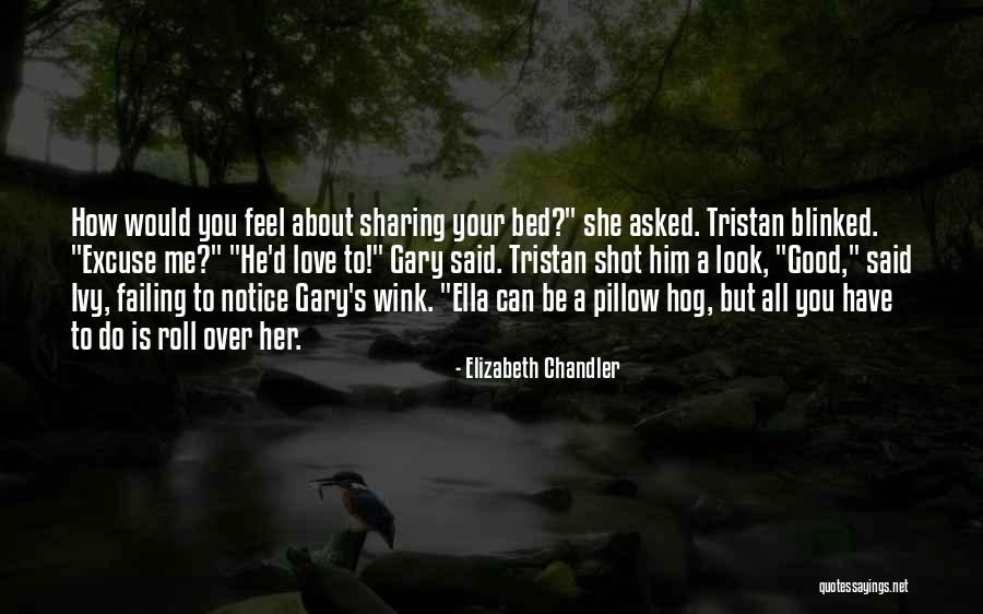 Hog Quotes By Elizabeth Chandler Hog Quotes By Elizabeth Chandler