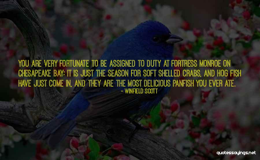 Hog Quotes By Winfield Scott Hog Quotes By Winfield Scott