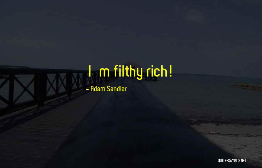 Hogging Jet Quotes By Adam Sandler Hogging Jet Quotes By Adam Sandler
