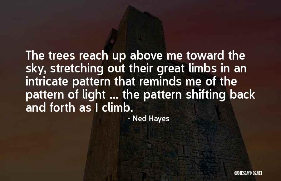 Hoglund Chwialkowski Quotes By Ned Hayes Hoglund Chwialkowski Quotes By Ned Hayes