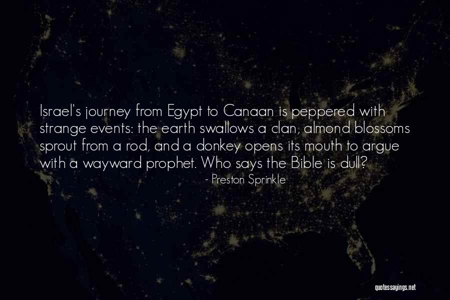 Hogswatch Tv Quotes By Preston Sprinkle Hogswatch Tv Quotes By Preston Sprinkle
