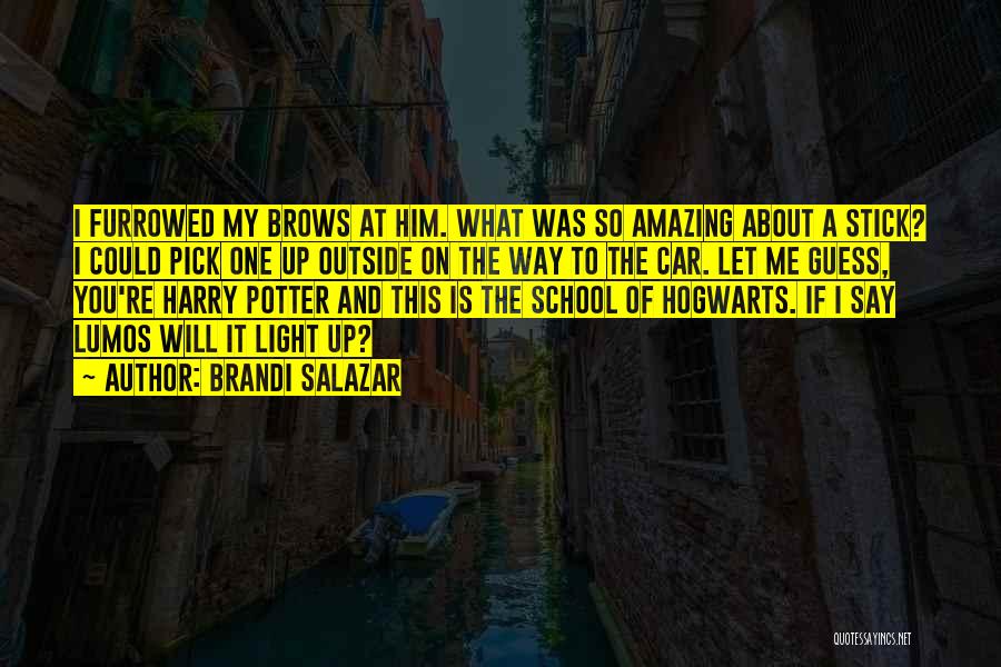 Hogwarts From Harry Potter Quotes By Brandi Salazar