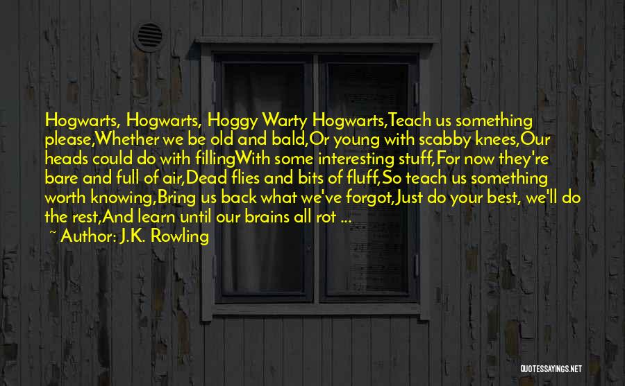 Hogwarts Quotes By J.K. Rowling