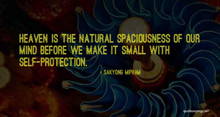 Hohenbergia Quotes By Sakyong Mipham Hohenbergia Quotes By Sakyong Mipham