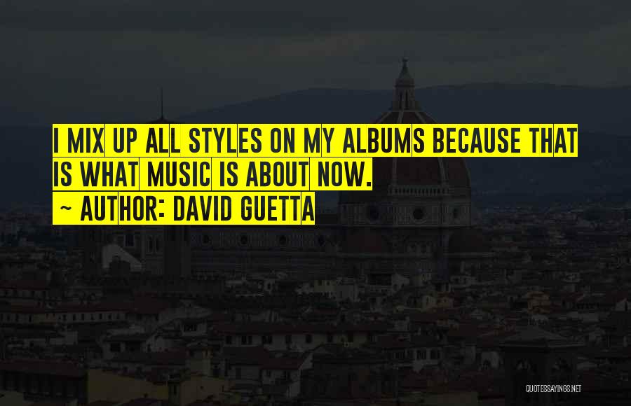 Hohlen Quotes By David Guetta