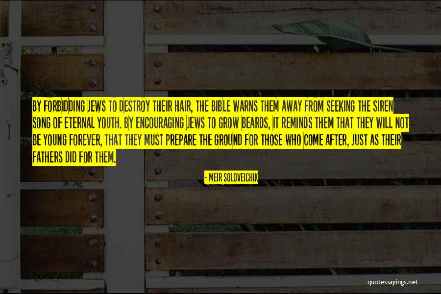 Hohnsteiner Quotes By Meir Soloveichik Hohnsteiner Quotes By Meir Soloveichik