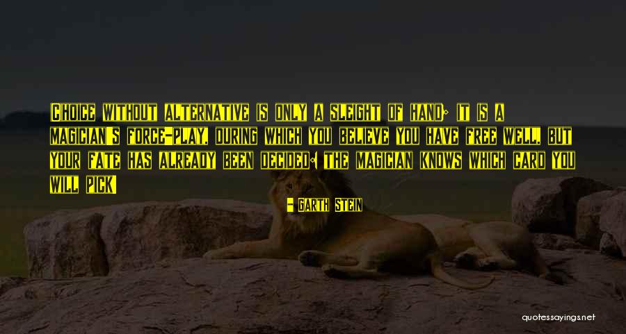 Hoice Quotes By Garth Stein Hoice Quotes By Garth Stein
