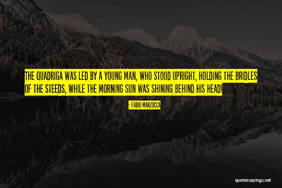 Hoiles Grand Quotes By Fabio Marzocca Hoiles Grand Quotes By Fabio Marzocca
